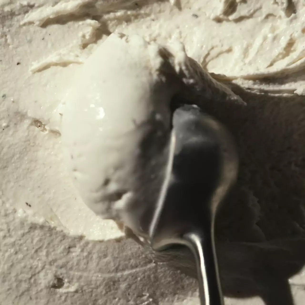 Vanilla Bean - Clean Premium Stock